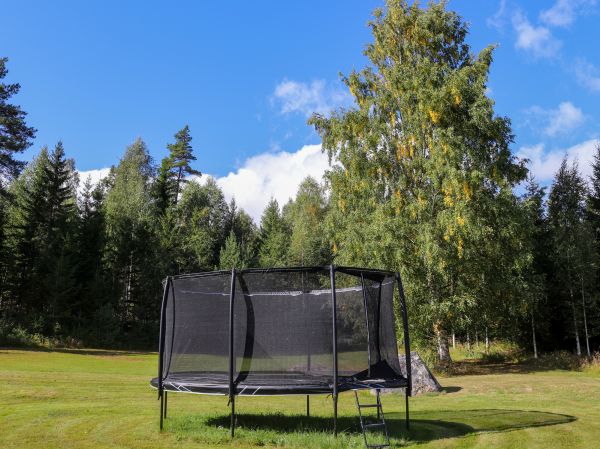 Trampoline Removal in Belleville