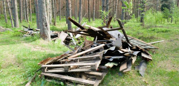 Debris Removal Service in Belleville