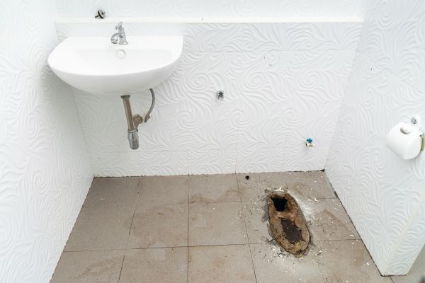 Toilet Disposal in Belleville